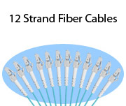 12-Strand Fiber