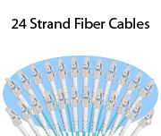 24-Strand Fiber