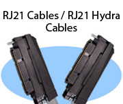 RJ21 Cables / RJ21 Hydra Cables