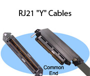 RJ21 "Y" Cables