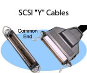 SCSI "Y" Cables