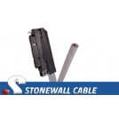 RJ21 Cable - Category 5e Telco 50 Female / Blunt